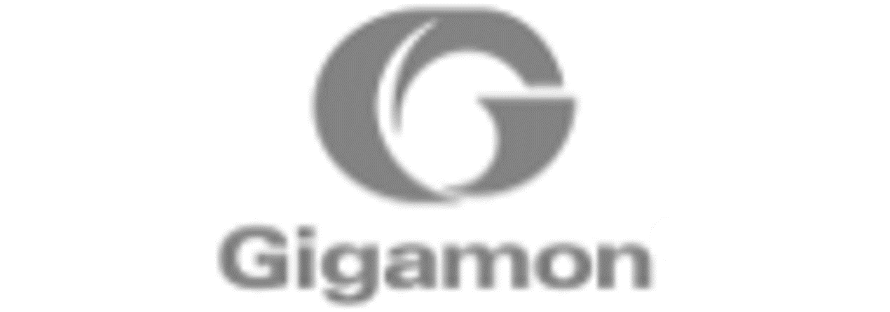 Gigamon resized